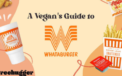 Beyond Beef: A Vegetarian and Vegan Guide to Whataburger