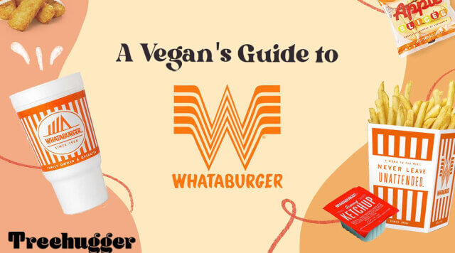 beyond-beef-a-vegetarian-and-vegan-guide-to-whataburger-review.jpg